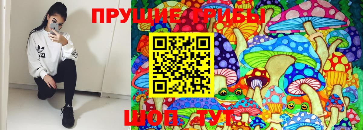 Троицк  Галлюциногенные грибы Psilocybine cubensis  Галлюциногенные грибы Psilocybine cubensis  Вход с VPN 